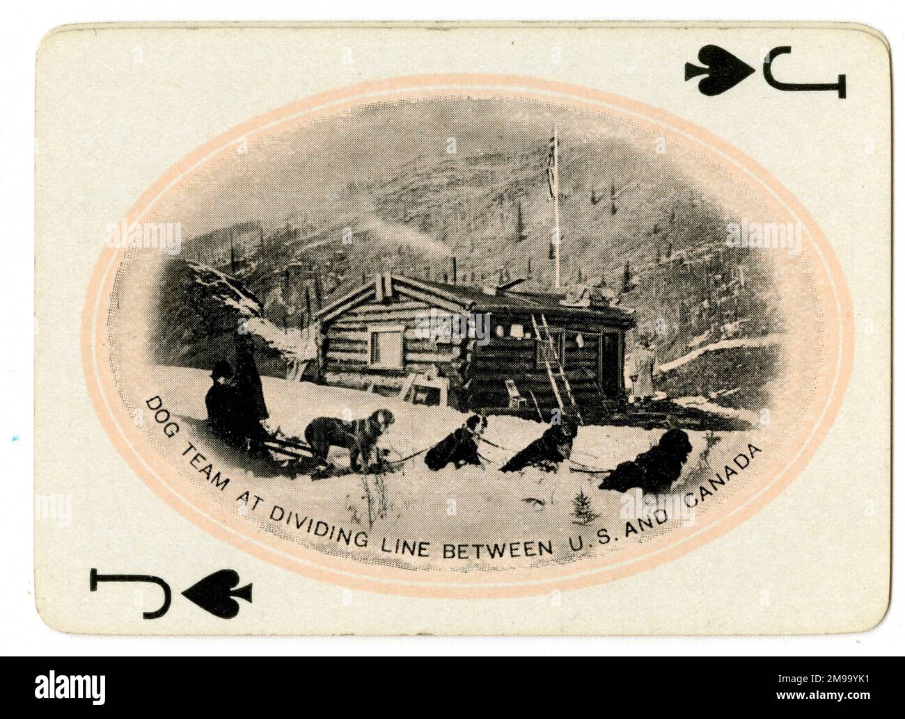 Hundeteam an der Trennlinie zwischen USA und Kanada, Alaska Yukon Pacific Exposition, Seattle, USA. Stockfoto