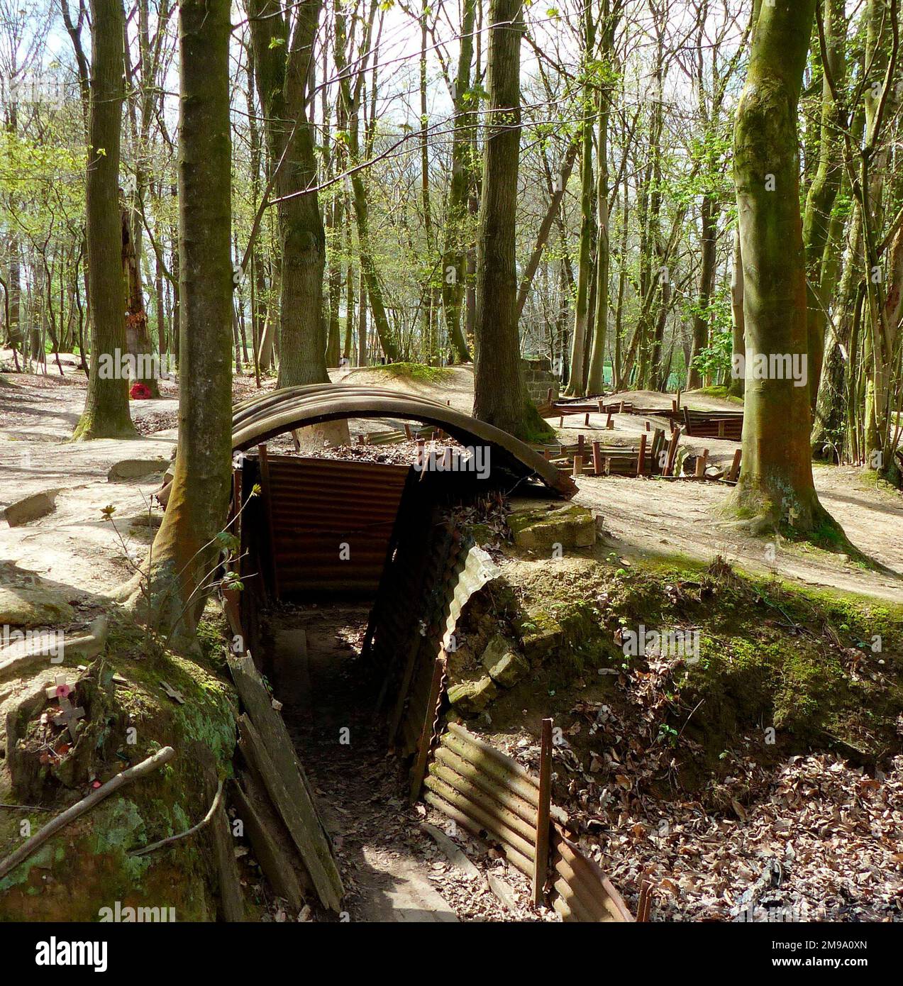 Eintritt zum erhaltenen Grabengraben, Sanctuary Wood Stockfoto