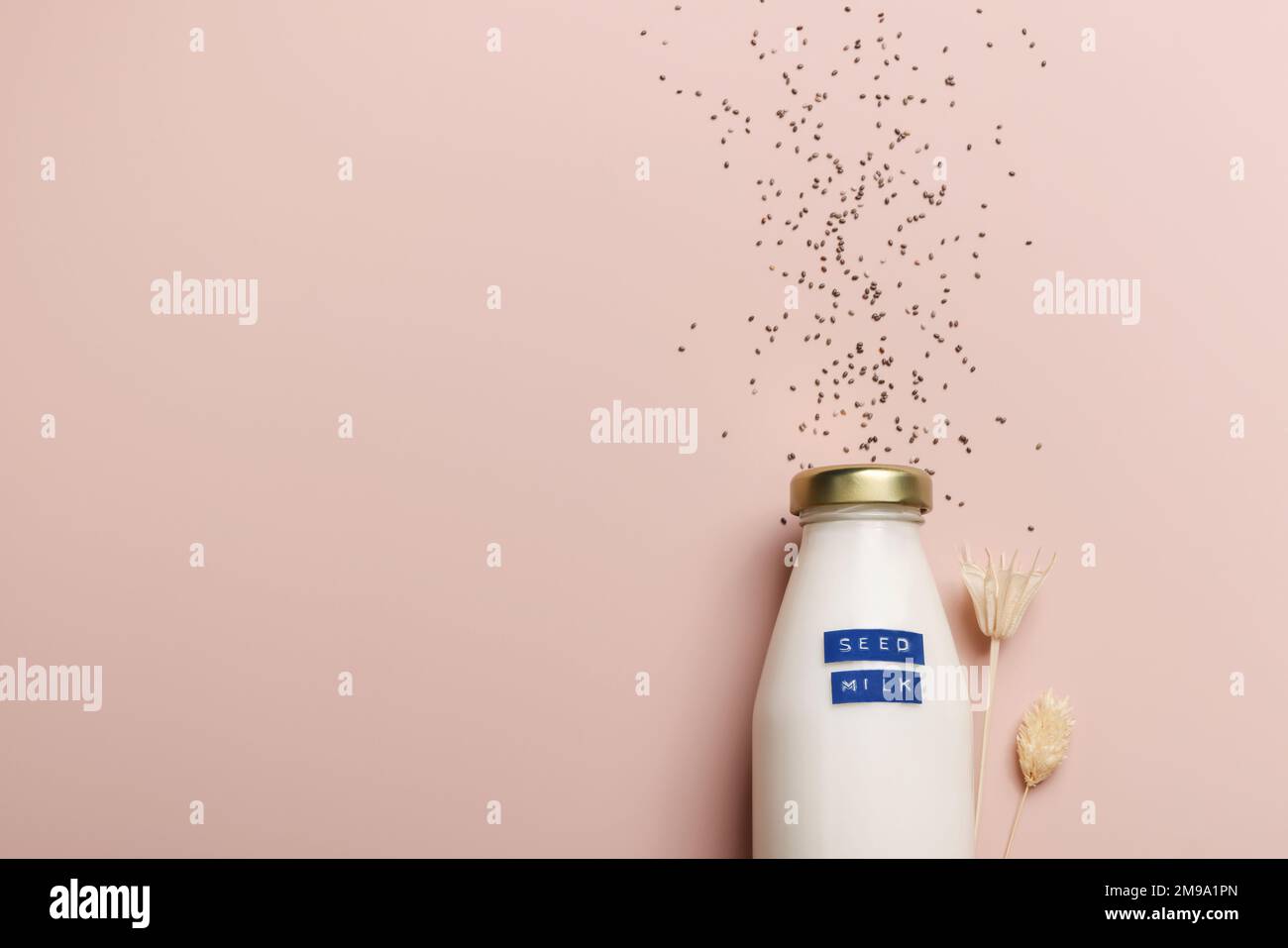 chiasamenmilch in der Flasche auf beigefarbenem Hintergrund mit Pflanze. Speicherplatz kopieren. Rohe Diät. Gesundes vegetarisches Essen und Lebensstil. Umweltfreundlich Stockfoto