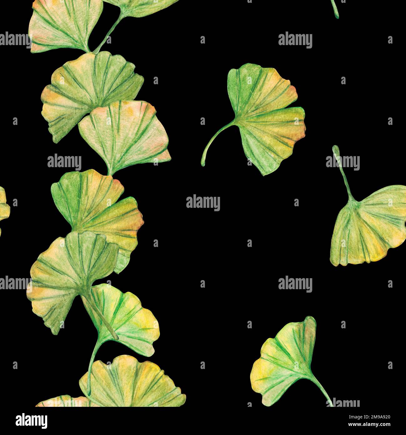 Ginkgo Biloba grüne und gelbe Blätter mit nahtlosem Muster, bedrucktes Blattwerk in der Botanik. Aquarelle. Hinterlässt Clip-Art. Stockfoto