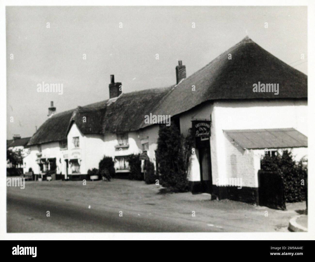 Foto: Greyhound Inn, Honiton, Devon. Die Hauptseite des Aufdrucks (hier abgebildet) zeigt: Die rechte Seite des Pubs. Auf der Rückseite des Aufdrucks (auf Anfrage erhältlich) finden Sie einen Ausweis des Greyhound Inn, Honiton, Devon EX14 3BJ. Seit Juli 2018 . Freies Haus Stockfoto