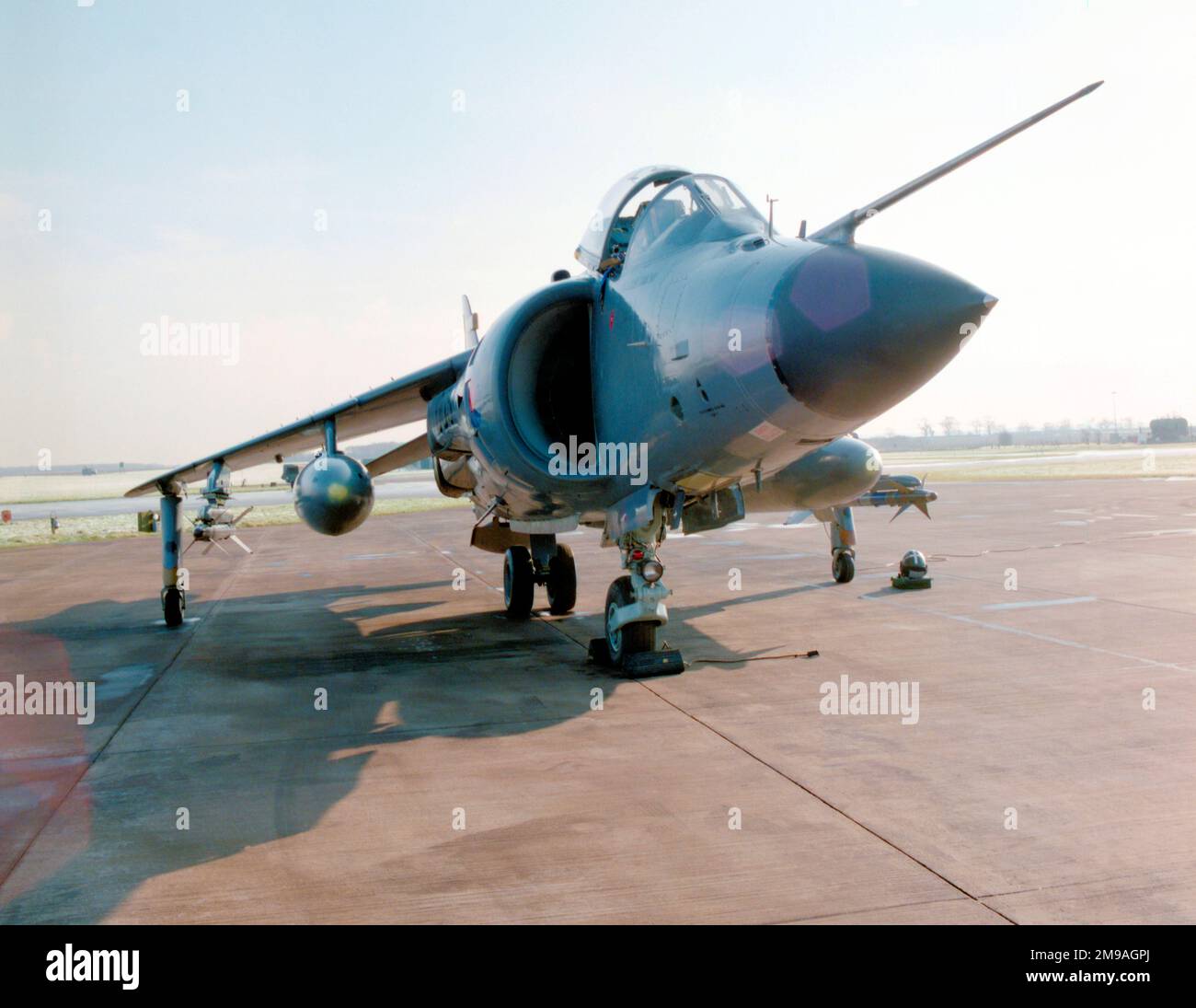 Fleet Air Arm - British Aerospace Sea Harrier FRS.1 XZ451 (Basiscode R, Rufzeichen 005) von 801 Marinefluggeschwader, auf HMS Ark Royal. Stockfoto