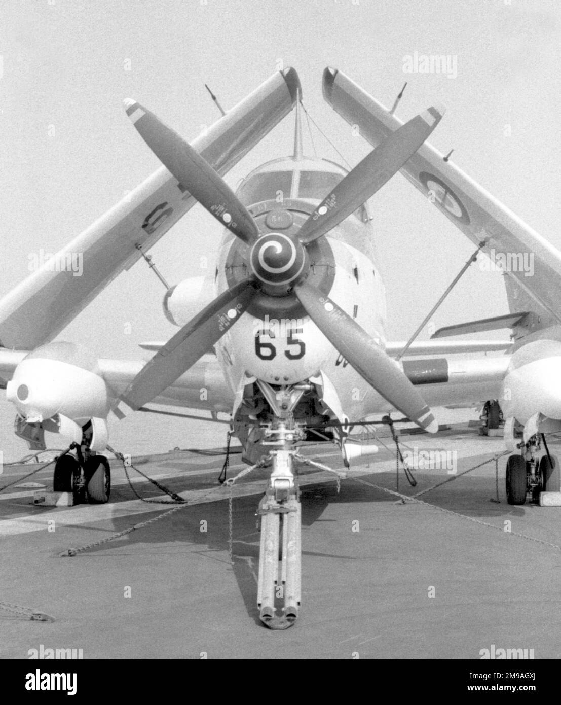 Aeronavale - Breguet Br.1050 Alize '65', sicher angekettet, während an Bord von 'Foch' oder 'Clemenceau' geparkt, während einer laufenden Bootstour. (Hinweis: Foch und Clemenceau waren zwei fast identische Schiffe, auf die die französische Marine keine Unterscheidungszeichen angebracht hatte, was die Identifizierung sehr schwierig machte.) Stockfoto Aeronavale - Breguet Br.1050 Alize '65', sicher angekettet, während an Bord von 'Foch' oder 'Clemenceau' geparkt, während einer laufenden Bootstour. (Hinweis: Foch und Clemenceau waren zwei fast identische Schiffe, auf die die französische Marine keine Unterscheidungszeichen angebracht hatte, was die Identifizierung sehr schwierig machte.) Stockfoto