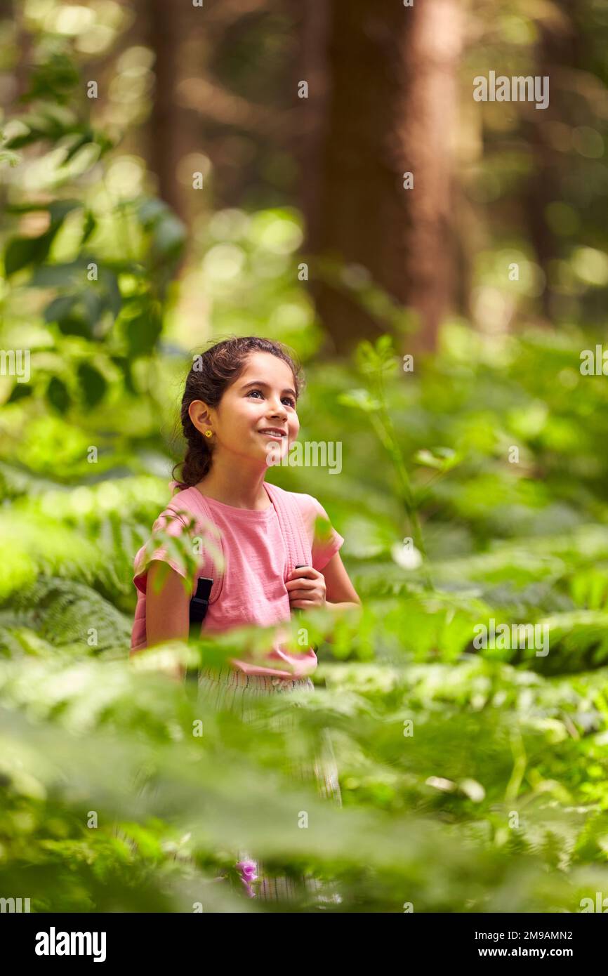 Smiling Girl Walking In Summer Woodland, Umgeben Von Farnen Mit Rucksack Stockfoto