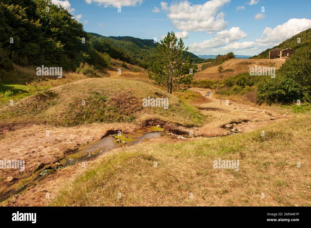 Die Quelle des Salz, ein salziger Fluss, der seinen Ursprung in der Domaine de l'Eau salée im Corbières-Gebirge hat Stockfoto