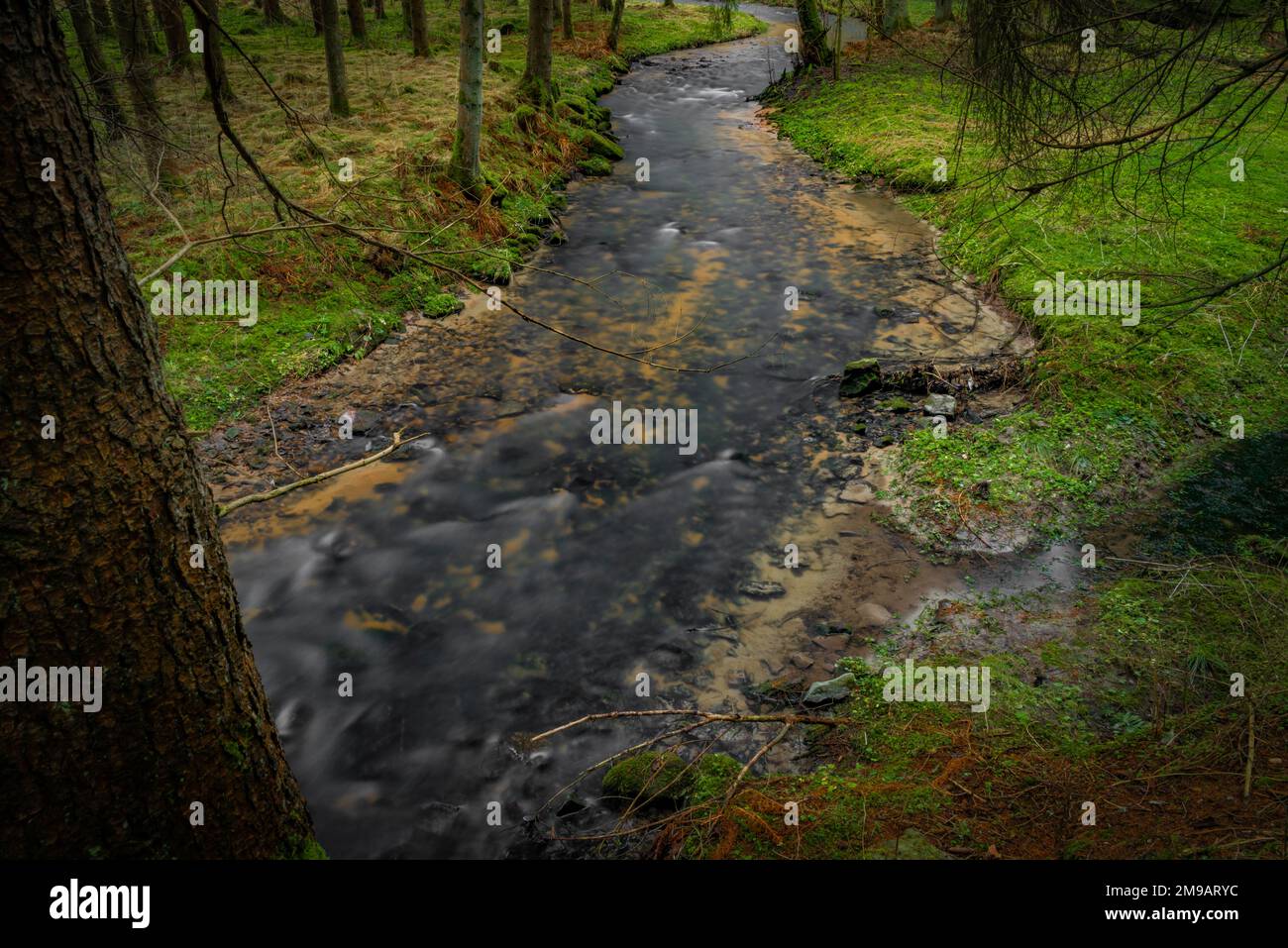 Feldaistischer Fluss im Tal bei Rainbach im Mühlkreis am Wintertag ohne weißen Schnee Stockfoto