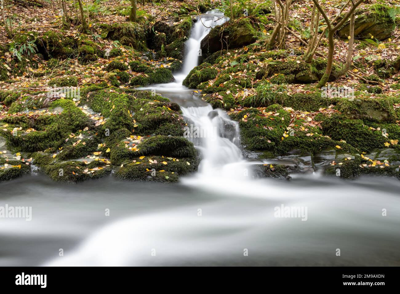 Lange Exposition eines Wasserfalls auf dem East Lyn Fluss Bei Watersmeet im Exmoor National Park Stockfoto