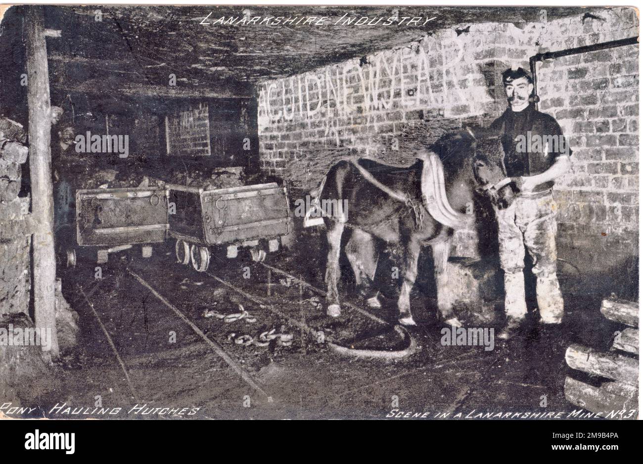 Pony zieht Trolleys, bekannt als Hutches, aus Kohle entlang kleiner Eisenbahnlinien. Von einer Postkarte aus Hamilton an die französische Legation in Tanger Stockfoto