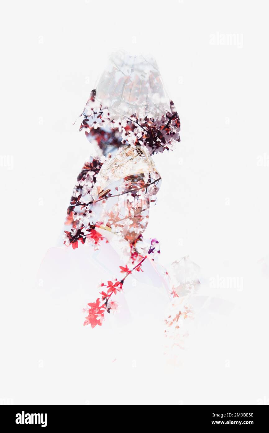 Heilige Woche Baena Cordoba Andalusien Spanien Semana Santa Baena Córdoba Andalusien España, doppelte Exposition Stockfoto