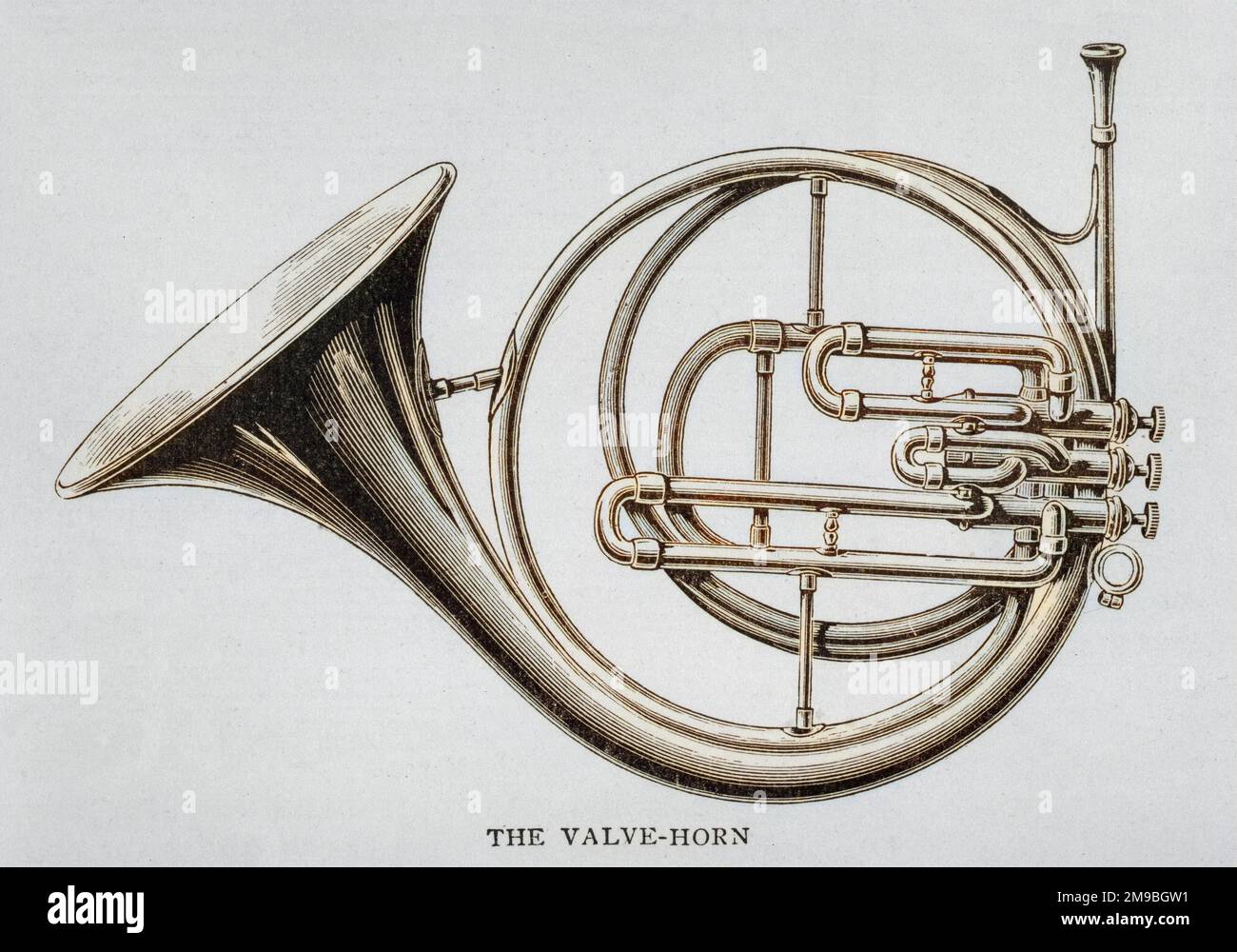 Das VENTILHORN (Französisch: COR-A-Kolben) wurde in den 1830er Jahren eingeführt und ersetzt das von Mozart und Beethoven verwendete Naturhorn vollständig. Stockfoto