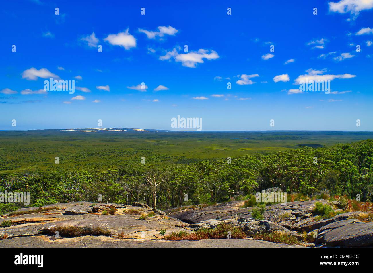 Blick vom Mount Chudalup über Sedge und Heideland auf den weitläufigen, flachen D'Entrecosteaux-Nationalpark an der Südküste von Westaustralien Stockfoto