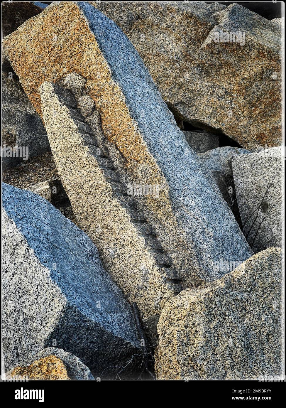 2. Januar 2023. Rockport, Massachusetts. Blick auf den Halibut Point State Park. © 2023 Marilyn Humphries Stockfoto