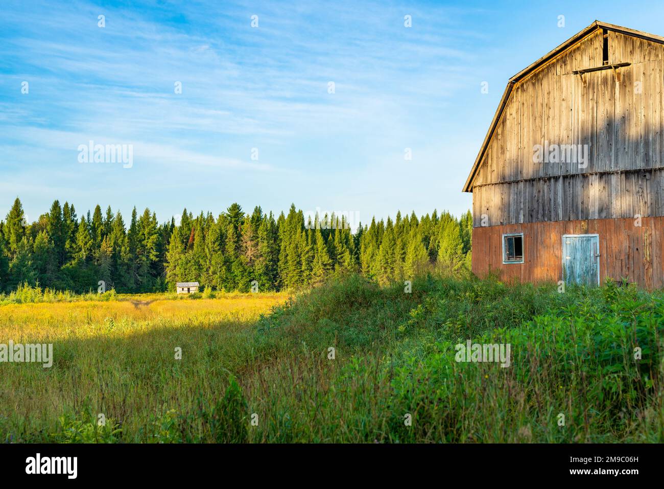 Eine Scheune und ein Schuppen am Rande einer Wiese mit dem Borealwald im Hintergrund, Laurentianer, Quebec, Kanada. Aufgenommen an einem sonnigen Sommerende des Tages Stockfoto