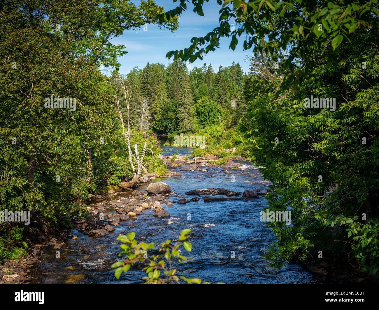 Stromschnellen auf einem kleinen Fluss in den Laurentians, Quebec, Kanada. An einem sonnigen Sommernachmittag ohne Leute aufgenommen. Stockfoto