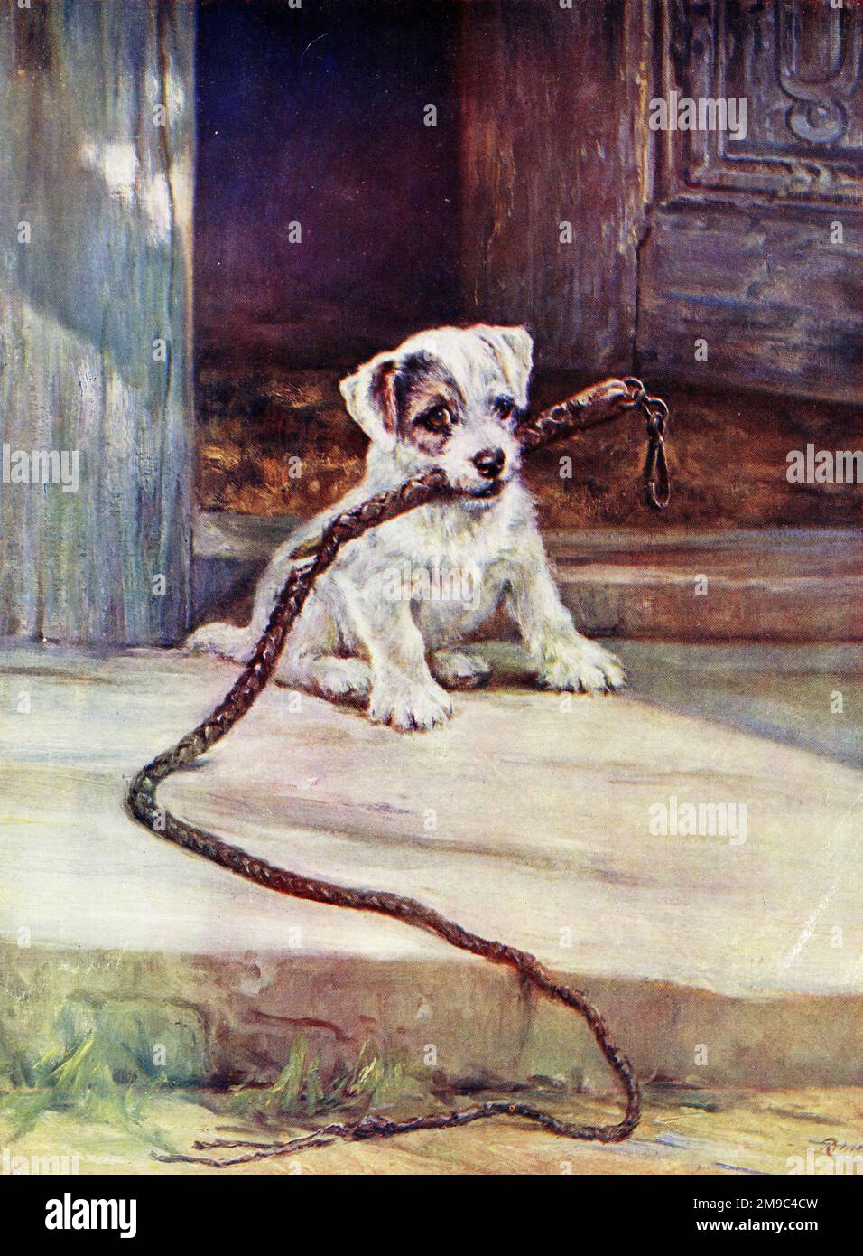 Das neue Haustier, Terrier Welpe mit Peitsche, von Ruth Cobb Stockfoto