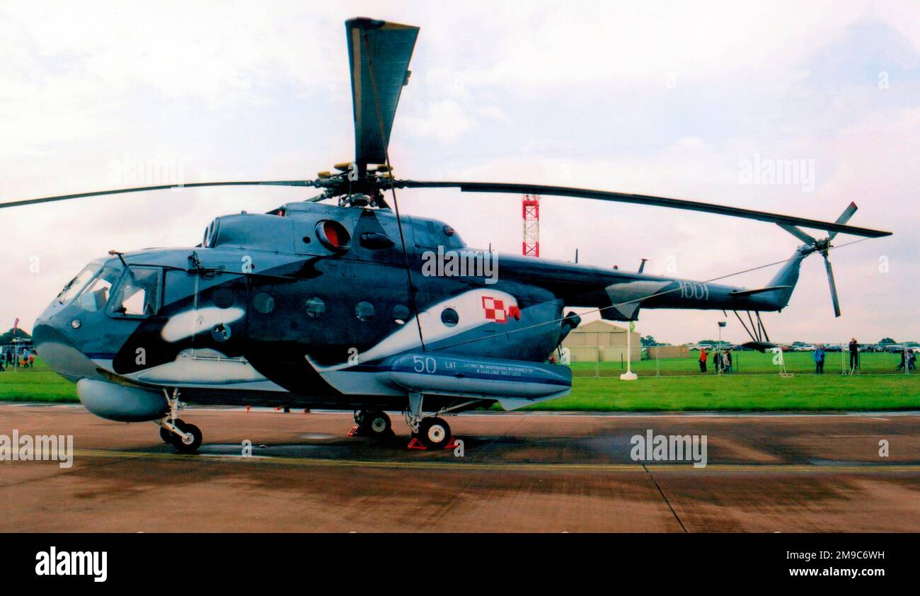 Marynarka Wojenna - Mil Mi-14PL 1001 (man 44 BlotM). (Marynarka Wojenna - Polnische Marine) Stockfoto