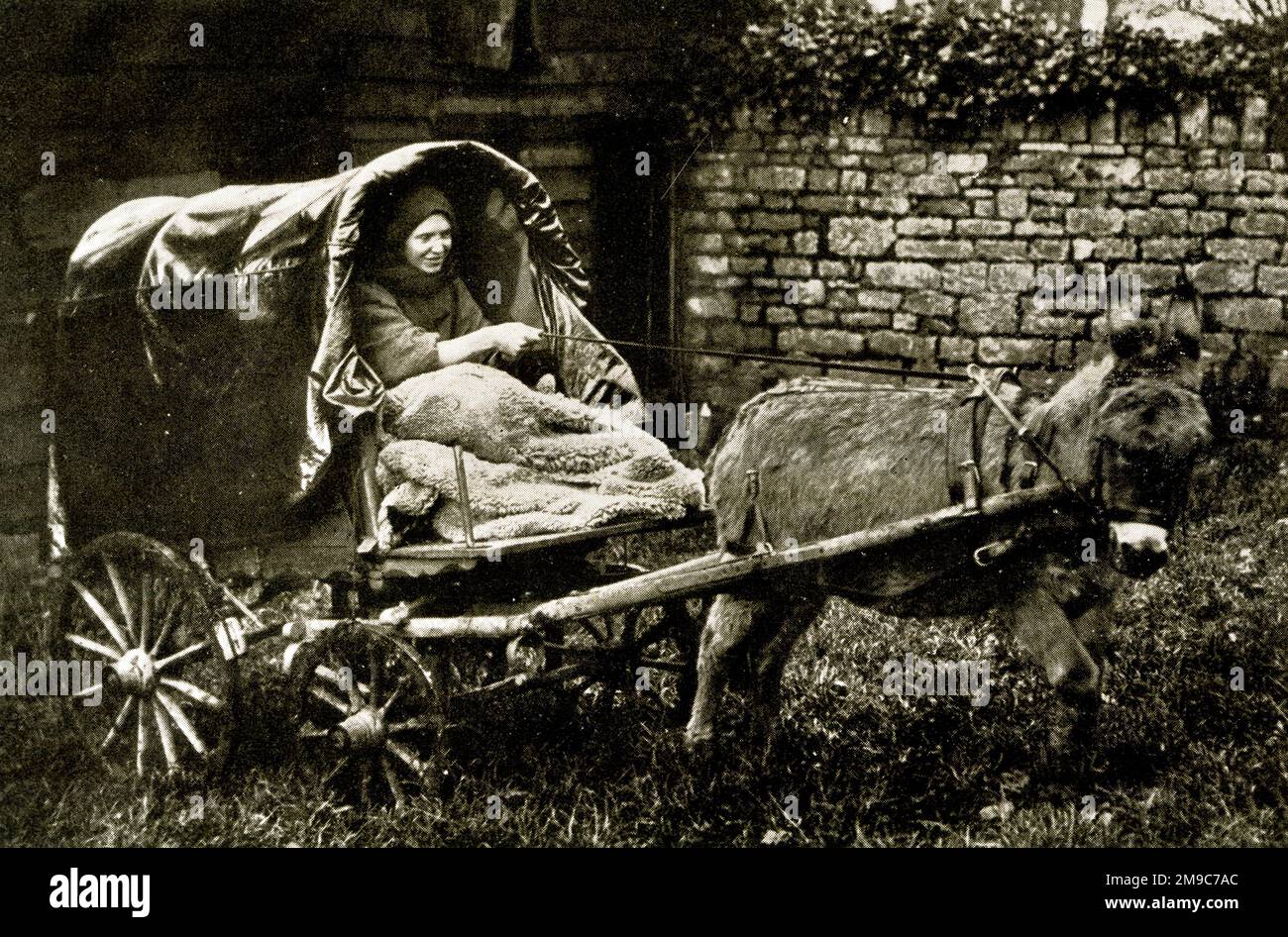 Eine Dame aus dem Caravan Club, die in einem Esel-Kippwagen wohnt Stockfoto