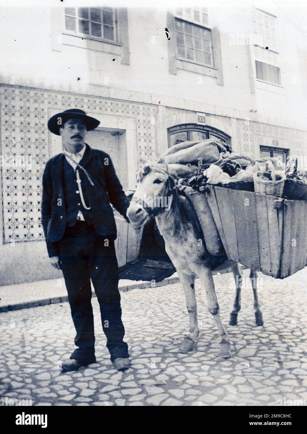 Portugiesischer Obst- und Gemüsehändler mit Esel, Lissabon, Portugal Stockfoto