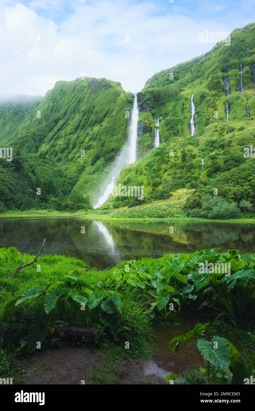 Wasserfälle, ein grünes Paradies, versteckt auf Flores Island, Azoren, Portugal Stockfoto