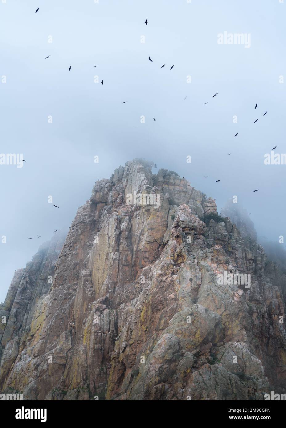Beeindruckende Landschaft mit bewölkten Bergen mit Geiern, die um den Gipfel kreisen Stockfoto