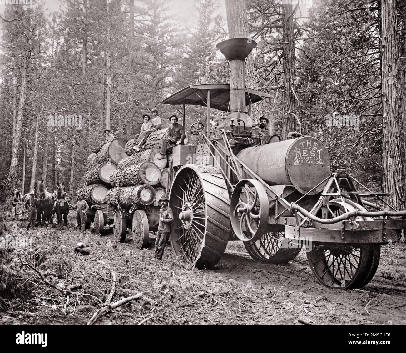 1890S 1894 DER BESTE FERTIGUNGSBETRIEB, DER SPURLOSE, DAMPFBETRIEBENE TRAKTIONSMOTOR, DER HOLZHACKANHÄNGER AUF HOLZWALDSTRASSEN TRANSPORTIERT – Q75053 CPC001 HARS BEGEISTERUNG FÜR DEN NIEDERWINKELTRANSPORT LEISTUNGSSTARKER FORTSCHRITT SIEBEN HOLZFÄLLERARBEITER BESCHÄFTIGUNG IN DER FERTIGUNG 7 MITARBEITER DAMPFBETRIEBENE ZUSAMMENARBEIT GROSS MASCHINENBAUHOLZ SÄUGETIER MITTE-ERWACHSENER MANN BEISAMMENSEIN ANHÄNGER JUNGER ERWACHSENER MANN 1894 SCHWARZ-WEISS ARBEITEN ALTMODISCH Stockfoto