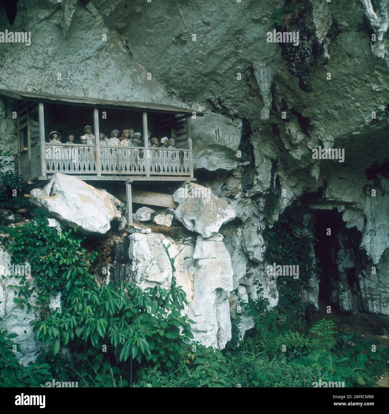 Der Toraja-Stamm legt die Überreste seiner Vorfahren in Särgen ab, die in Höhlen begraben sind, die in hohen Klippen ausgehöhlt sind und von lebensechten Statuen bewacht werden, die von einem „Balkon“ aus blicken. Stockfoto