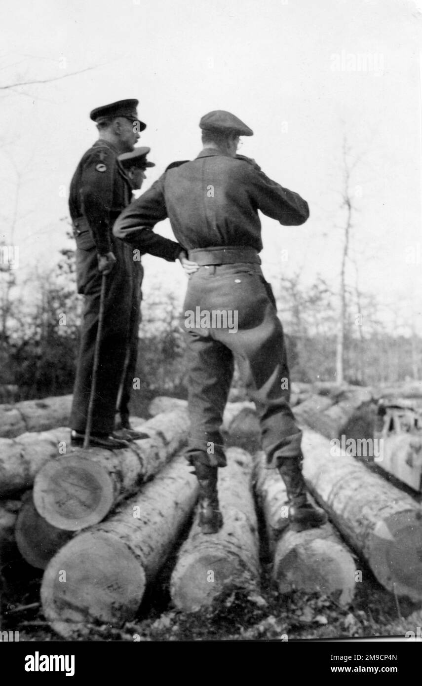 Drei britische Armeeoffiziere in Deutschland gegen Ende des Zweiten Weltkriegs, die auf einem Haufen gefalzter Baumstämme stehen. Stockfoto