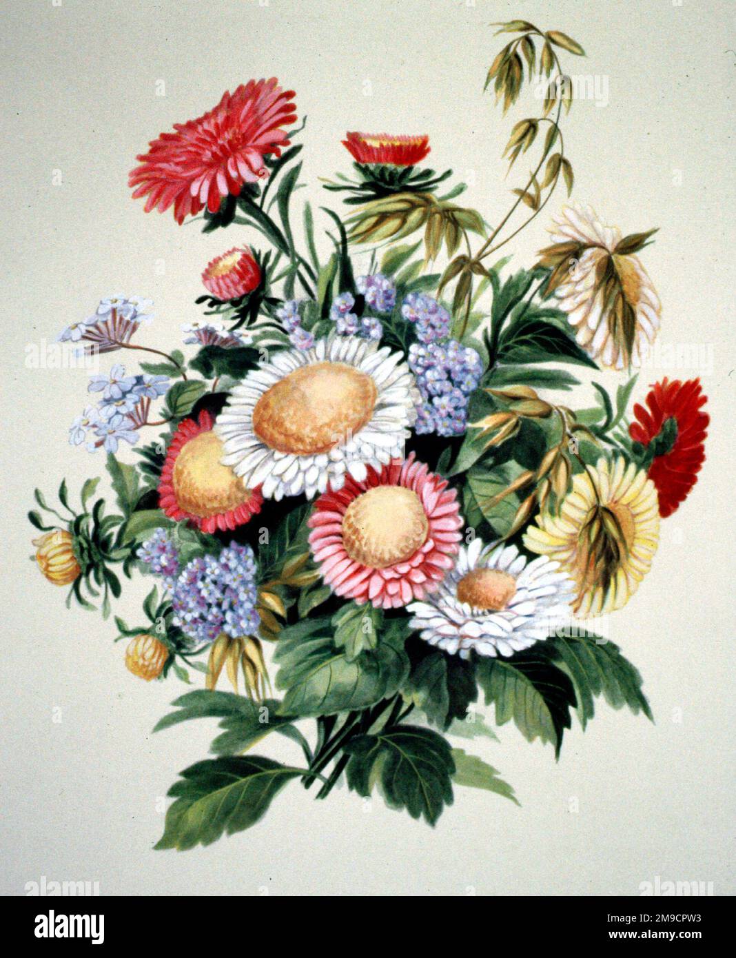 Blumenstrauß aus dekorativen Blumen Stockfoto