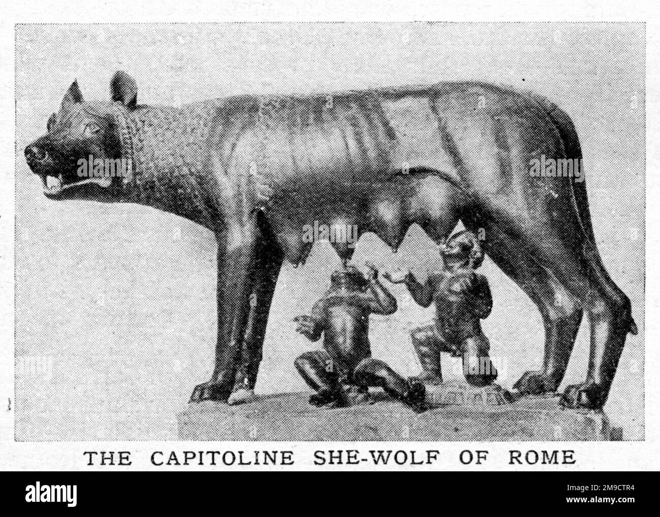 Die Kapitolinische Wölfin Von Rom (Romulus & Remus) Stockfoto