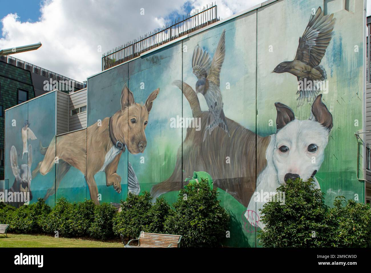 Hundes Street Art, Prahran, Victoria, Asutralia Stockfoto
