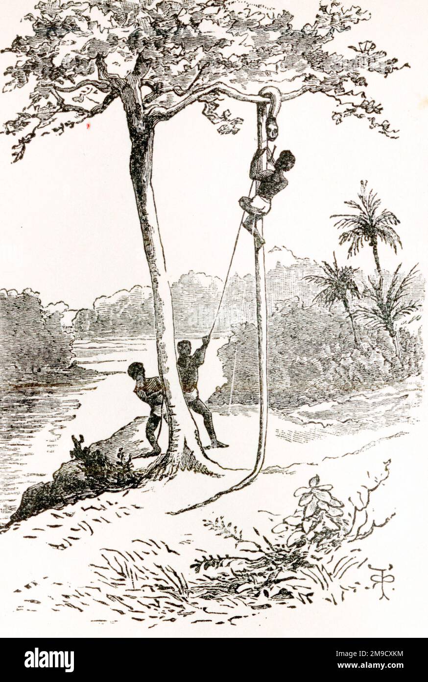 Voyage of the Beagle - Skinning Uji (Wasserschlangen) (Darwins Tagebuch) Stockfoto