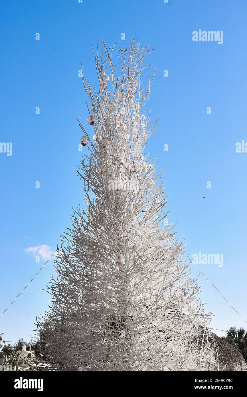 Bäume im Winterwald in den Krismas Stockfoto