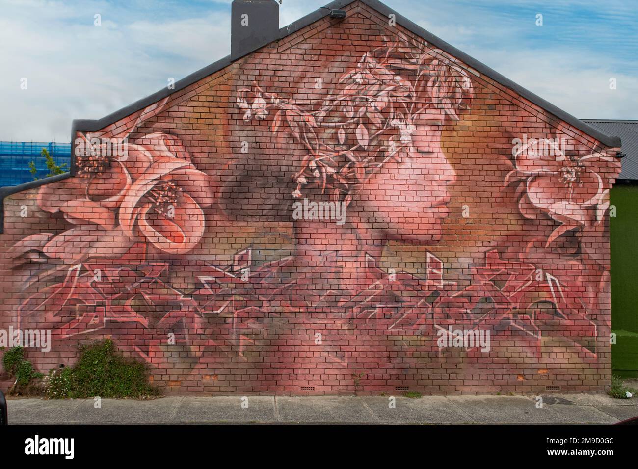 Pink Girl Street Art, Robs Parade, Northcote, Victoria, Australien Stockfoto