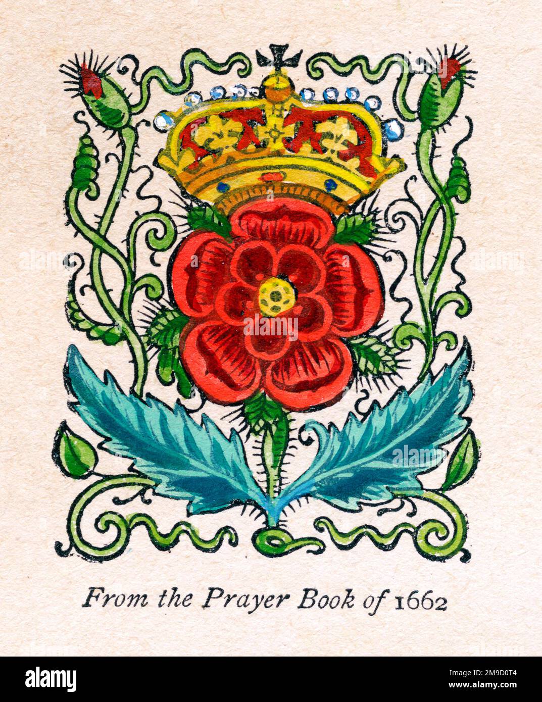 Tudor Rose Aus Dem Gebetsbuch Stockfoto