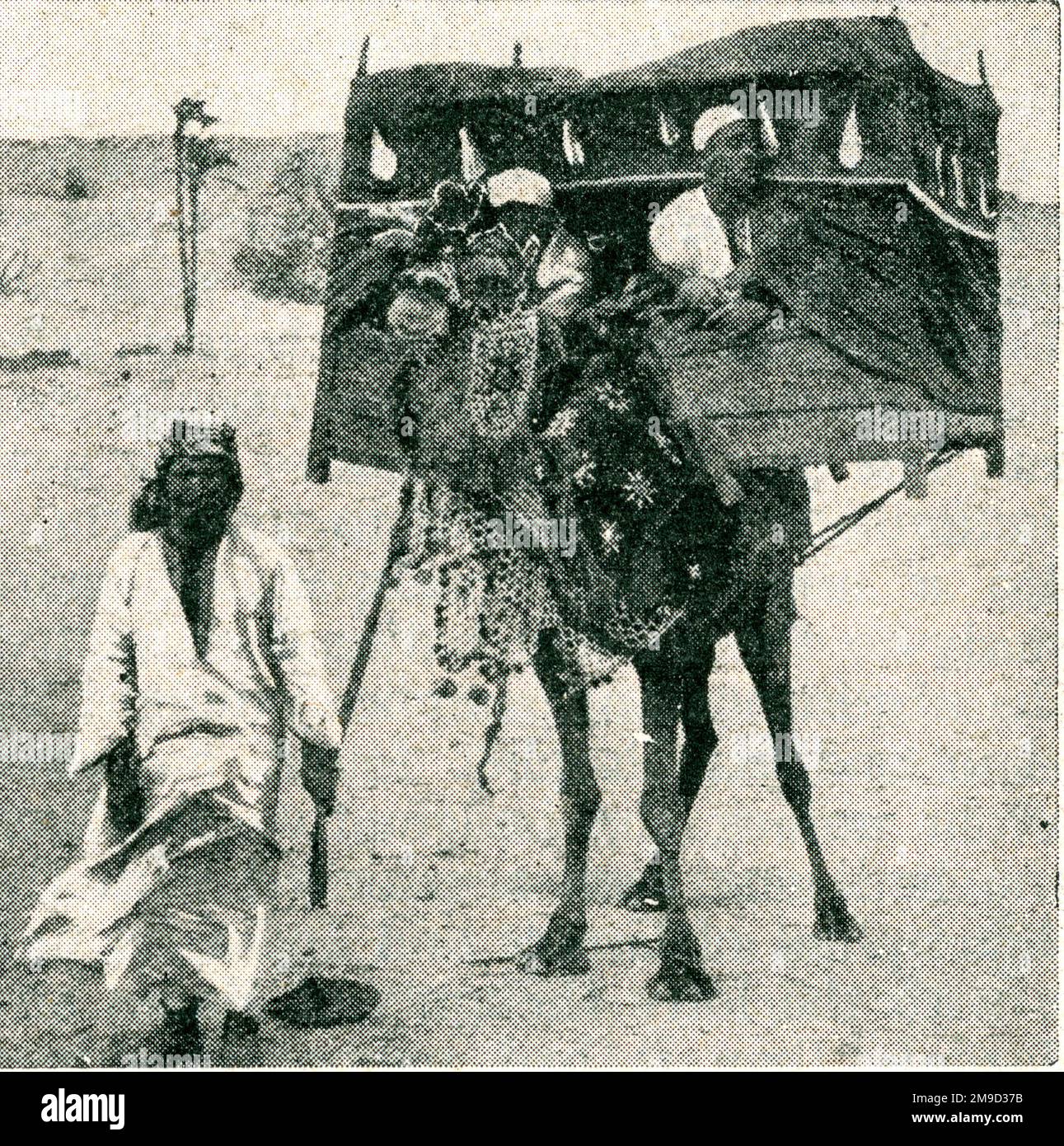 Araber auf einem Kamel Stockfoto