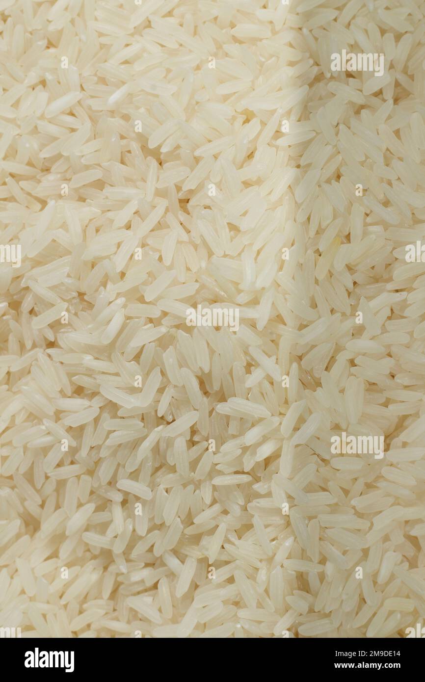 Getreide und Dinge – Stahlhafer, weißer Reis und Spiralpasta! Stockfoto