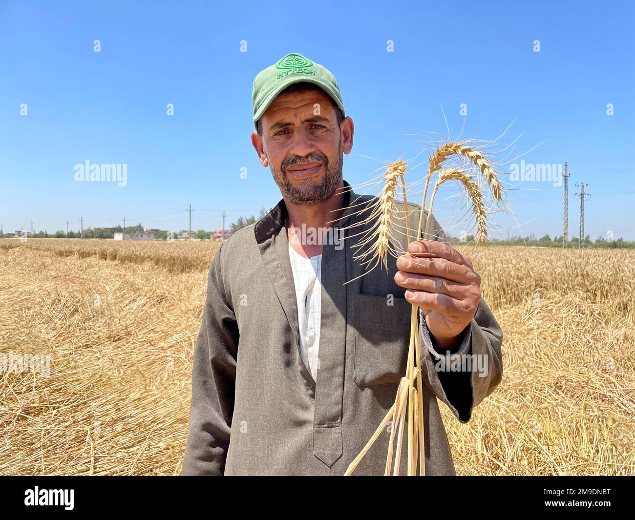 Brot ist Leben! Aus diesem Grund hat USAID ein Pilotprogramm gestartet, das ägyptische Landwirte dabei unterstützen soll, die Verschwendung bei der Weizenproduktion zu reduzieren, wodurch Ägypten ab diesem Jahr Tausende Tonnen Weizen einsparen wird. Durch mehr als 40 Jahre Partnerschaft und mehr als $1,4 Milliarden US-Dollar Unterstützung für den Agrarsektor Ägyptens, die USA Die Regierung steht solidarisch mit dem ägyptischen Volk. Stockfoto