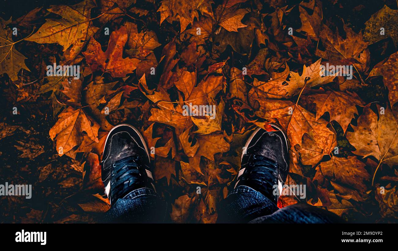 Die Füße einer Person im Herbst liegen auf dem Boden Stockfoto