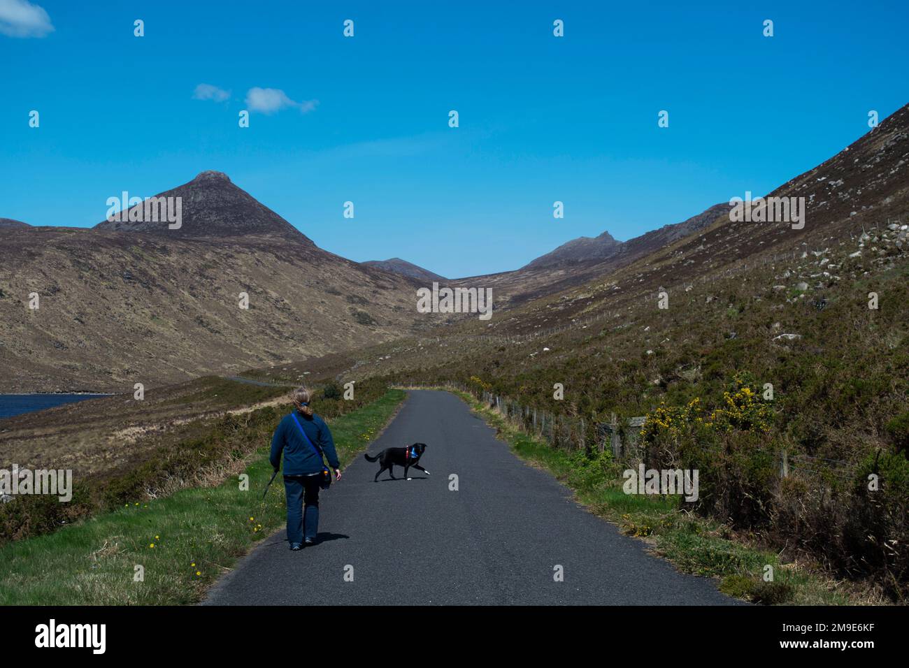 Silent Valley County Down Northern Ireland - 16 2018. Mai. Eine Frau in einer blauen Jacke führt ihren schwarzen Hund auf einem Pfad neben Silent Valley Resevoir Stockfoto