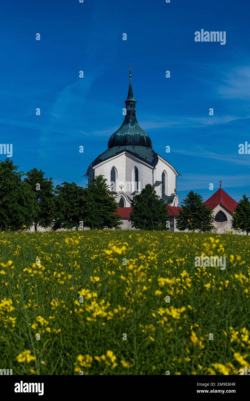 Blumenfeld vor dem UNESCO-Weltkulturerbe Wallfahrtskirche Johannes von Nepomuk, Tschechische Republik Stockfoto