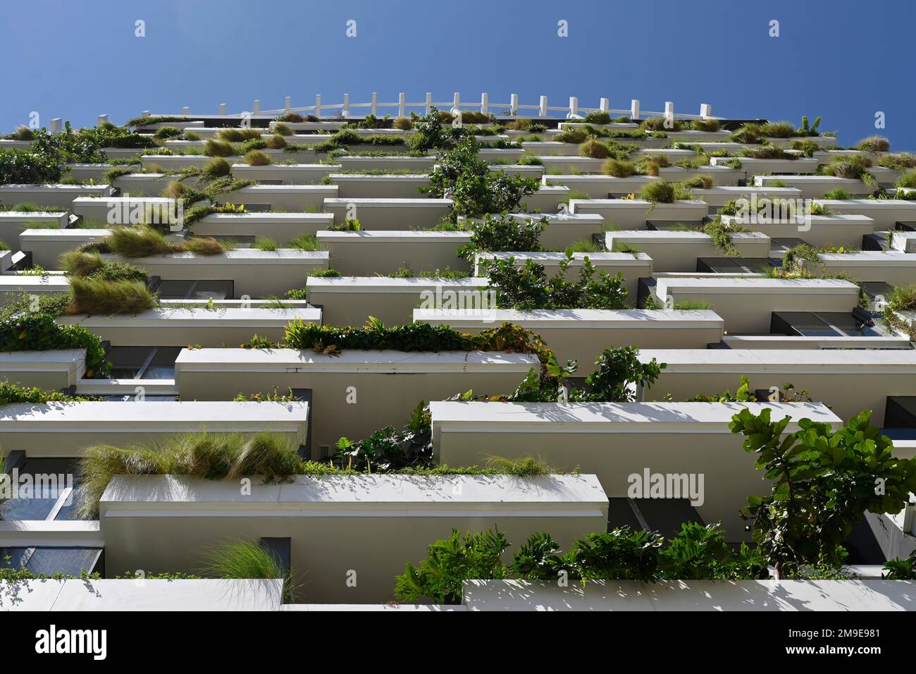 Hochhaus-Pflanzenfassade Stockfoto