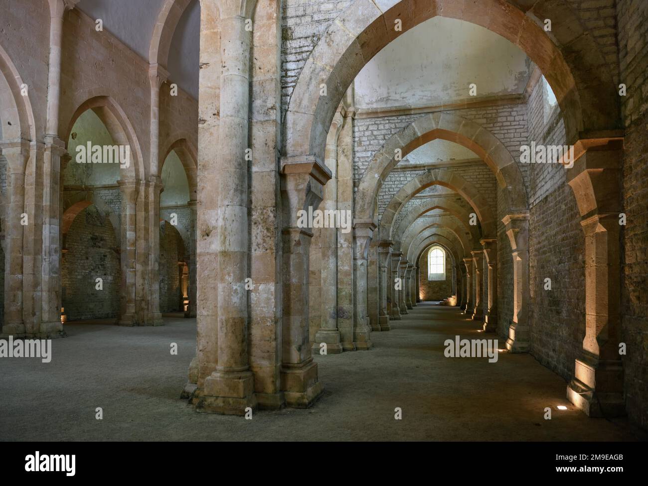 Das Schiff der Zisterzienserabtei von Fontenay, UNESCO-Weltkulturerbe, Cote d'Or, Burgund, Frankreich Stockfoto