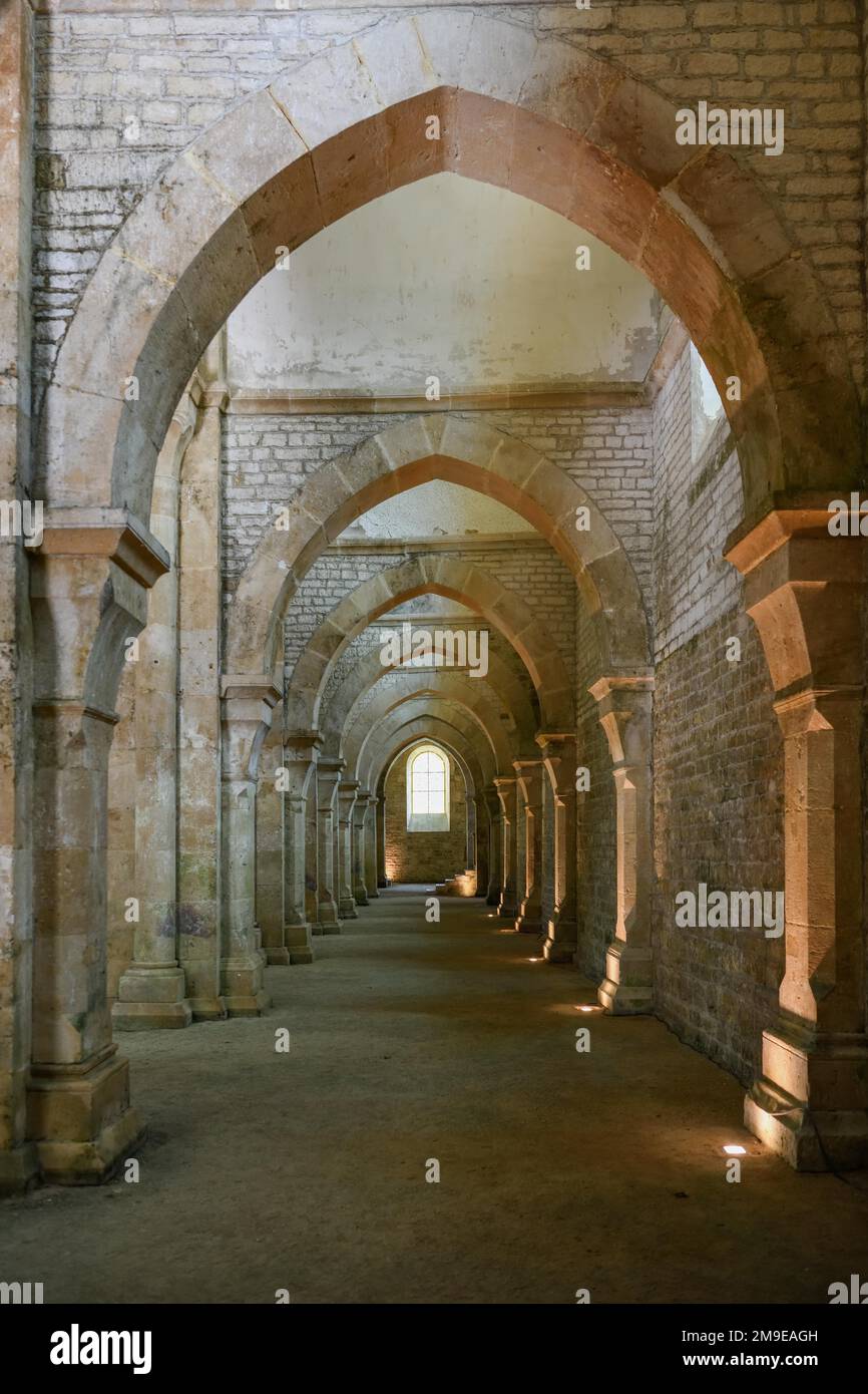 Das Schiff der Zisterzienserabtei von Fontenay, UNESCO-Weltkulturerbe, Cote d'Or, Burgund, Frankreich Stockfoto