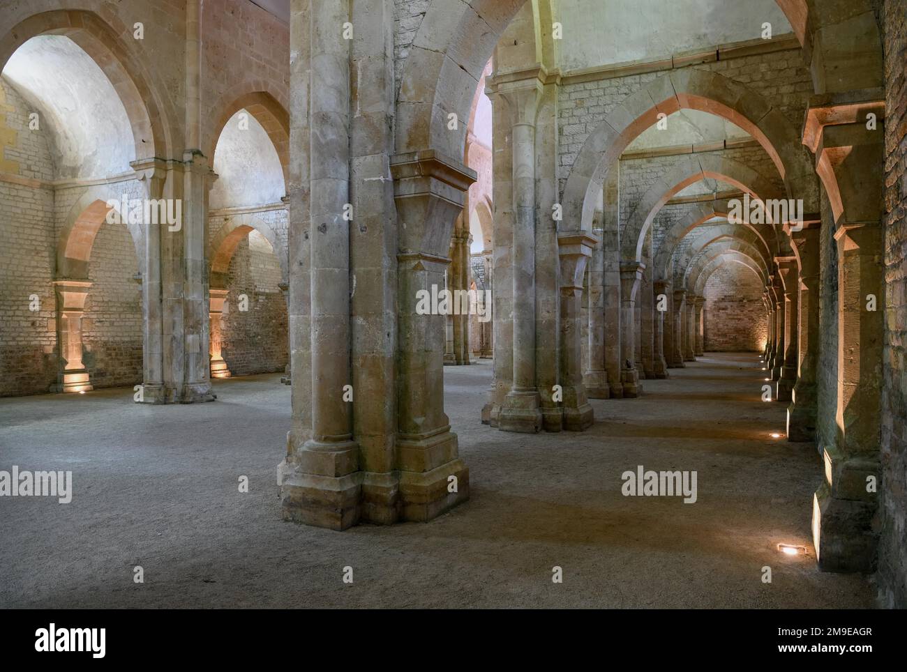 Das Schiff der Zisterzienserabtei von Fontenay, UNESCO-Weltkulturerbe, Cote d'Or, Burgund, Frankreich Stockfoto