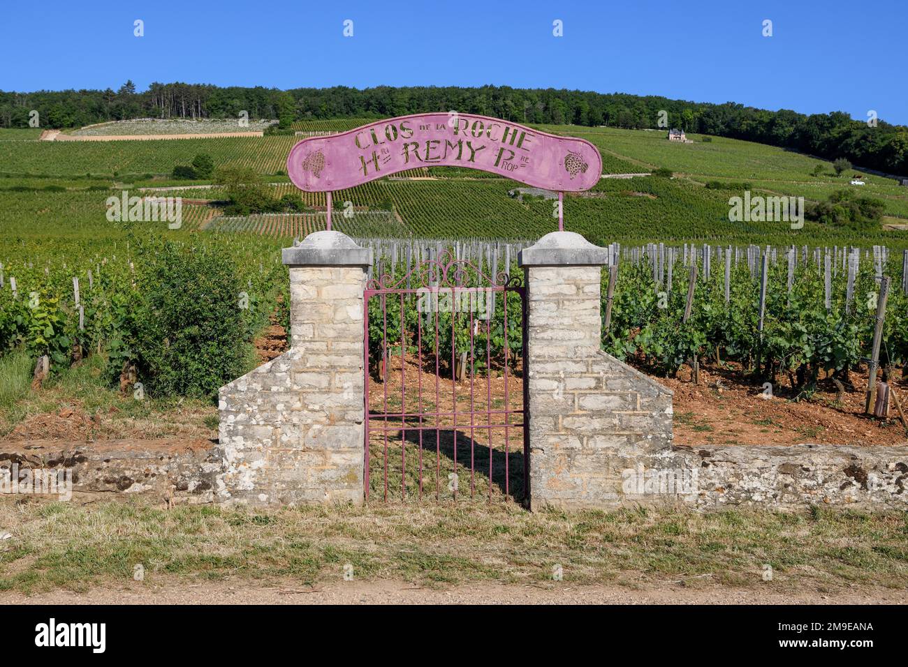 Steintor am Weinberg des Weinguts Clos de la Roche, Route des Grand-Crus, Route of Fine Wines, in der Nähe von Morey-Saint-Denis, Abteilung Cote-d'Or Stockfoto