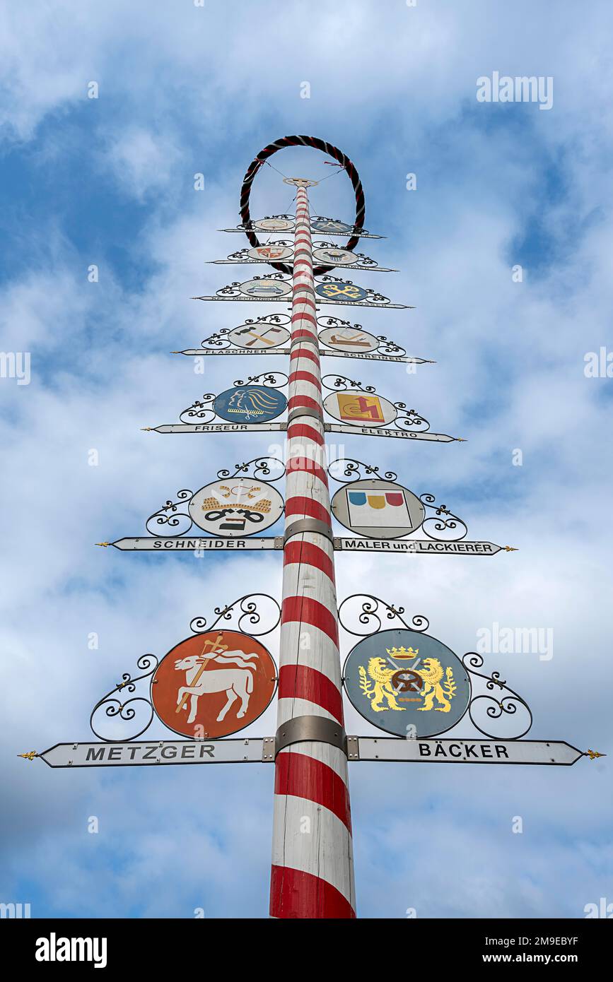 Maypole mit professionellen Symbolen auf einem Marktplatz in Bayreuth, Bayern Stockfoto