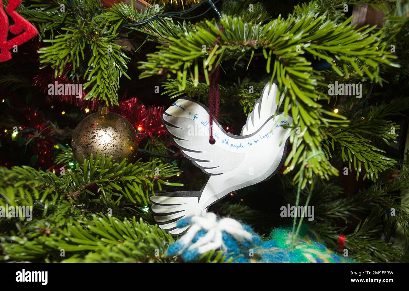 Weihnachtsbaum Nordmann Norman Tanne festliche Dekoration Englisches Cottage dekoriert zu Weihnachten Stockfoto