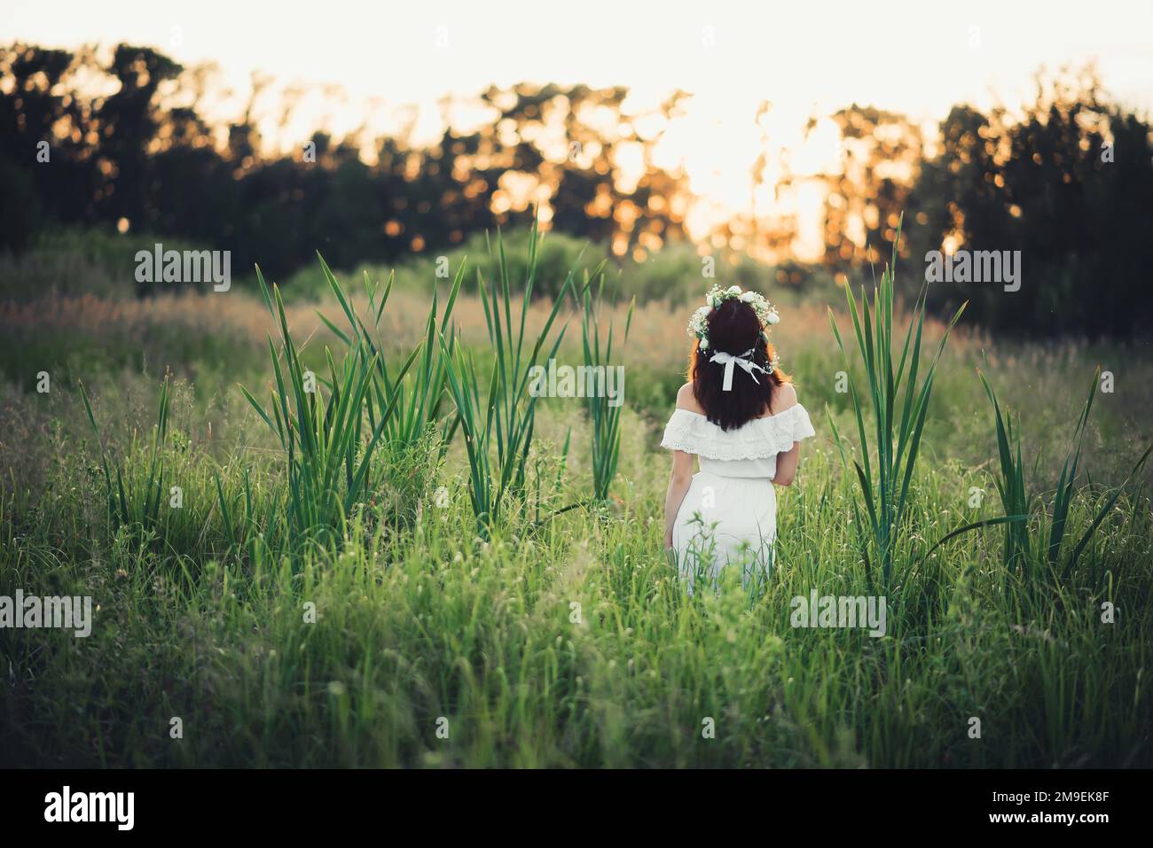 Ein Mädchen in einem weißen Kleid mit Blumenkranz steht im Sommer bei Sonnenuntergang auf dem Feld Stockfoto