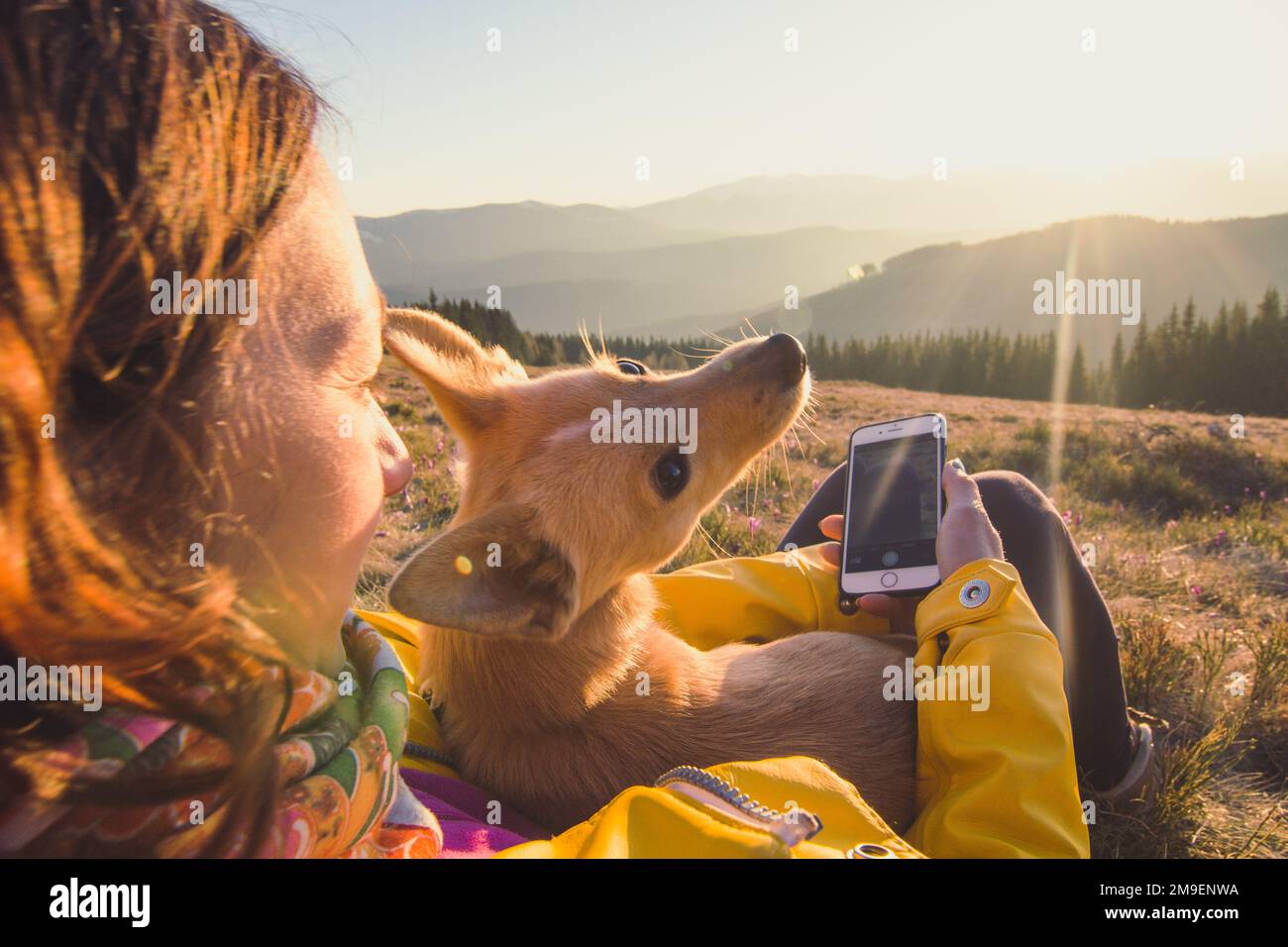 Nahaufnahme Frau trifft Sonnenaufgang mit Hundeporträt Stockfoto