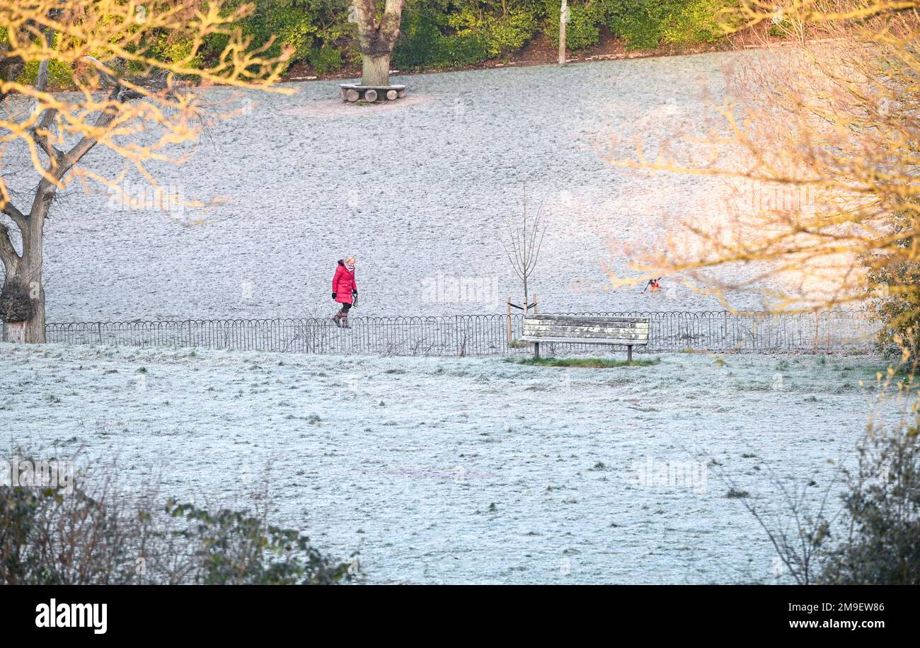 Brighton UK 18. Januar 2023 - Ein Hundefreund genießt einen frostigen Morgen im Queens Park Brighton, während das kalte Wetter in ganz Großbritannien anhält : Credit Simon Dack / Alamy Live News Stockfoto
